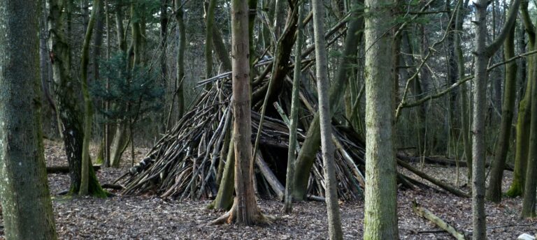 What is Forest School?